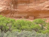 Ruins in Kane Gulch